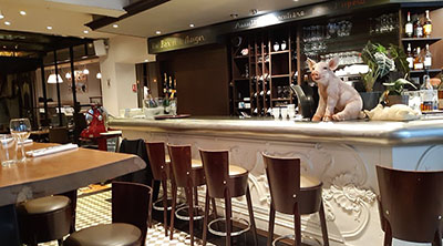 restaurant_Leon_1.jpg restaurant_Leon_1.jpg